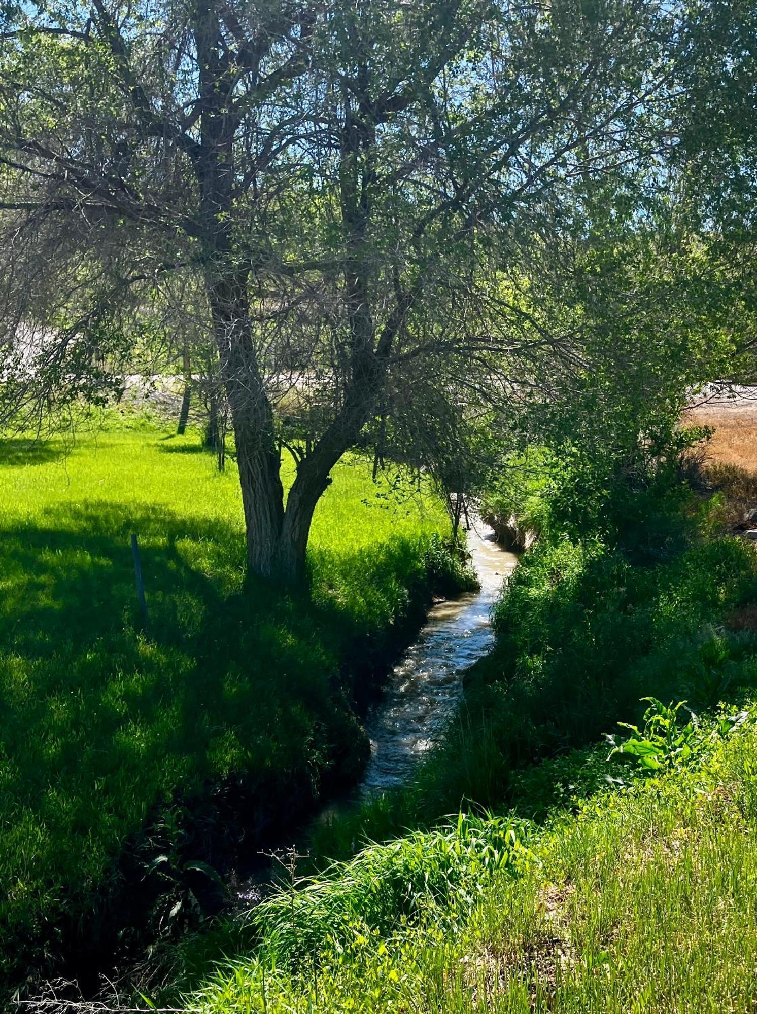 Let'S Go ! Fisherman, Families, Pools One Minute From Your Door, Comfort, Location Perfect, Amenity-Rich, Pup Friendly, Discover An Exceptional Wyoming Stay, Thermopolis River Walk Home At Hot Springs State Park, 'Where Families And Fisherman Stay' Zewnętrze zdjęcie